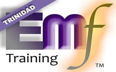 EMF Training – Beyond Qigong 3-Day Trinidad – 8 – 10 February Workshop – Emotions, Minds, Fields