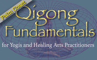 Qigong Fundamentals – 17 January 2025 – Palm Coast, FL