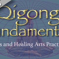 Qigong Fundamentals – 7 February 2025 – Trinidad & Tobago