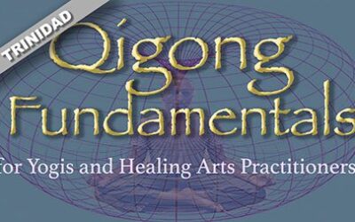 Qigong Fundamentals – 7 February 2025 – Trinidad & Tobago