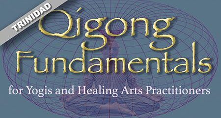 Qigong Fundamentals title Yogis and-1b TRINIDAD 450