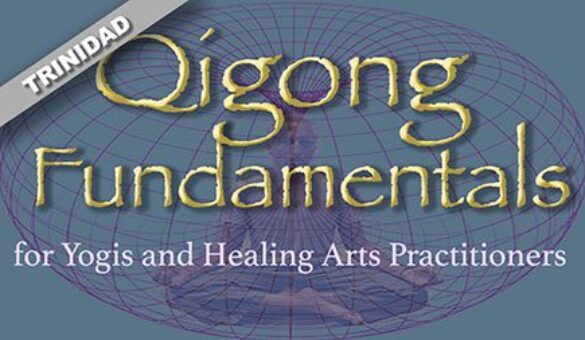 Qigong Fundamentals title Yogis and-1b TRINIDAD 450