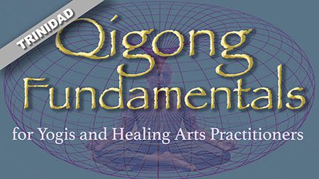 Qigong Fundamentals title Yogis and-1b TRINIDAD 450